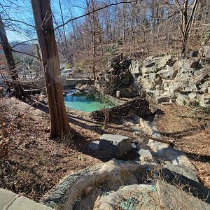 Smithsonian 2/22 - America Trail, Beavers from above