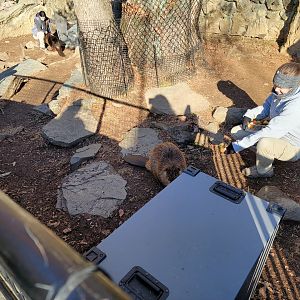 Smithsonian 2/22 - America Trail, trying to catch the beavers