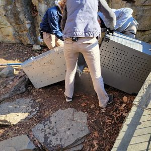 Smithsonian 2/22 - America Trail, how to get a beaver into the correct carrier :)