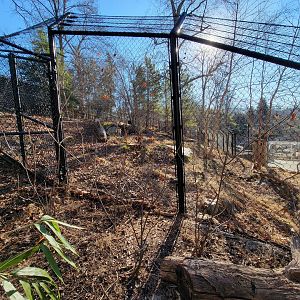 Smithsonian 2/22 - America Trail, Wolves from the side