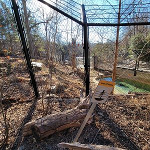 Smithsonian 2/22 - America Trail, Wolves from the side