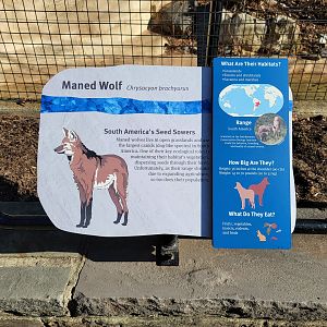 Smithsonian 2/22 - America Trail, maned wolf signage from his brief time on the trail