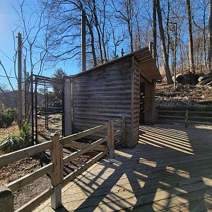 Smithsonian 2/22 - America Trail, bald eagle viewing