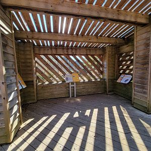 Smithsonian 2/22 - America Trail, bald eagle viewing