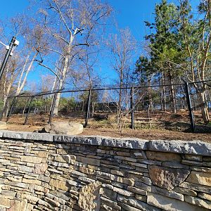 Smithsonian 2/22 - America Trail, wolves