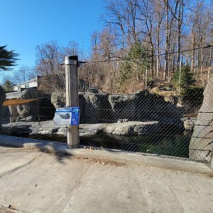 Smithsonian 2/22 - America Trail, harbor and gray seals