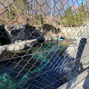 Smithsonian 2/22 - America Trail, harbor and gray seals