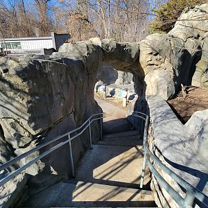 Smithsonian 2/22 - America Trail, path down to pinniped viewing