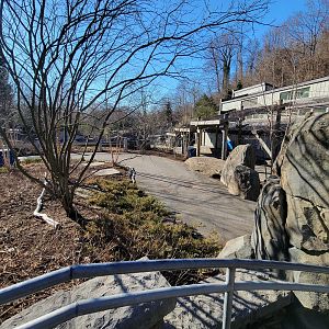 Smithsonian 2/22 - America Trail, pinniped area