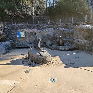 Smithsonian 2/22 - America Trail, pinniped splash pad