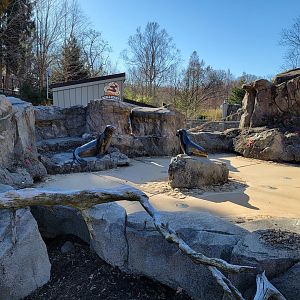 Smithsonian 2/22 - America Trail, pinniped splash pad