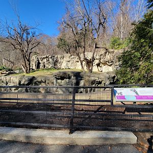 Smithsonian 2/22 - Andean bears