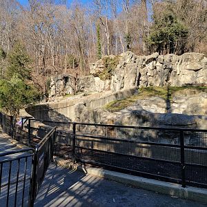 Smithsonian 2/22 - Andean bears