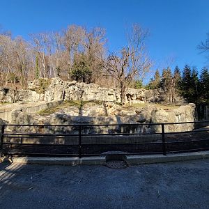 Smithsonian 2/22 - Andean bears