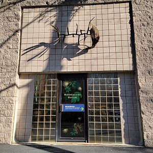 Smithsonian 2/22 - Amazonia party room entrance