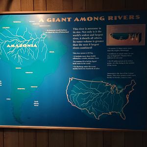 Smithsonian 2/22 - Amazonia, Amazon river info