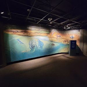 Smithsonian 2/22 - Amazonia, mural