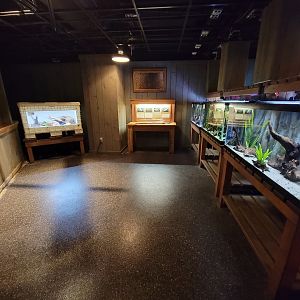 Smithsonian 2/22 - Amazonia, rainbow boa and fishes