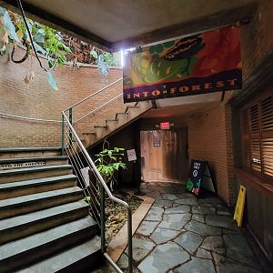 Smithsonian 2/22 - Amazonia, stairs to walk-through area