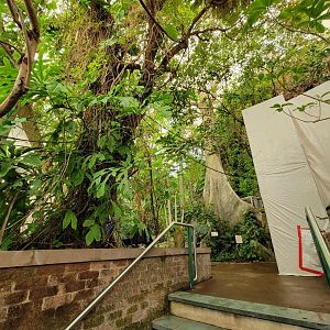 Smithsonian 2/22 - Amazonia, top of stairs