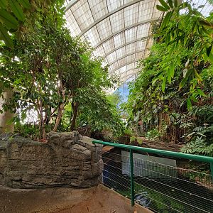 Smithsonian 2/22 - Amazonia, second floor free-flight area