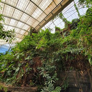 Smithsonian 2/22 - Amazonia, second floor free-flight area