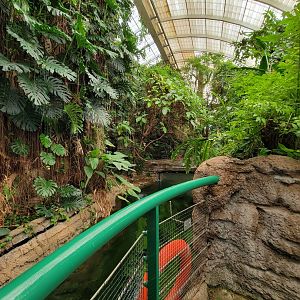 Smithsonian 2/22 - Amazonia, second floor free-flight area