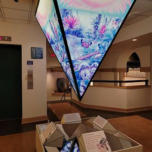 Smithsonian 2/22 - Amazonia, I have no idea what this is