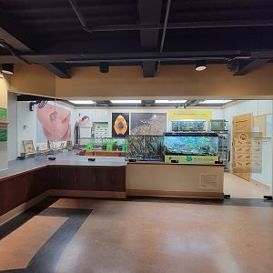 Smithsonian 2/22 - Amazonia, Amphibian Ark room (private)