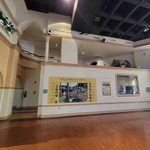 Smithsonian 2/22 - Amazonia, Stairs