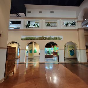 Smithsonian 2/22 - Amazonia, Amphibian Alert