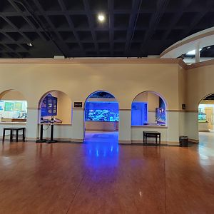 Smithsonian 2/22 - Amazonia, Coral Lab