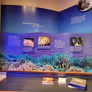 Smithsonian 2/22 - Amazonia, Coral Lab