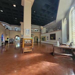 Smithsonian 2/22 - Amazonia, does this room even have a name?