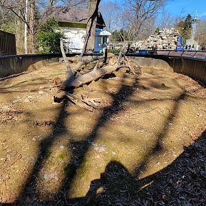 Smithsonian 2/22 - Amazonia, prairie dogs