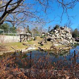 Smithsonian 2/22 - Lemur Island