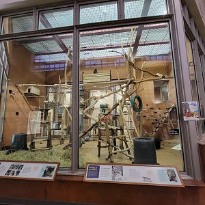 Smithsonian 2/22 - Think Tank