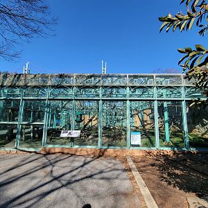 Smithsonian 2/22 - Think Tank, Allen's swamp monkeys