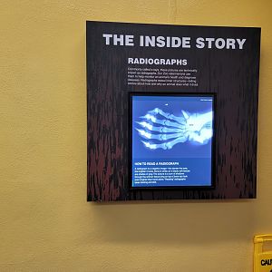 Smithsonian 2/22 - Small Mammal House, The Inside Story: Radiographs