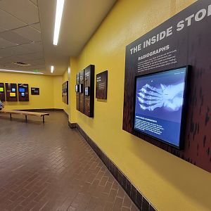 Smithsonian 2/22 - Small Mammal House, The Inside Story: Radiographs