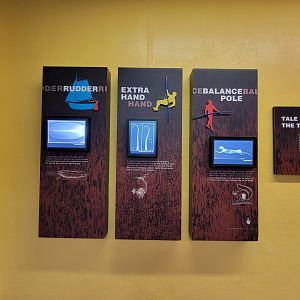 Smithsonian 2/22 - Small Mammal House, The Inside Story: Radiographs