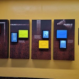 Smithsonian 2/22 - Small Mammal House, The Inside Story: Radiographs