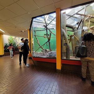 Smithsonian 2/22 - Small Mammal House, general view of what the building looks like