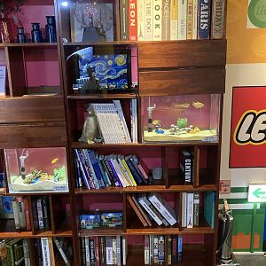 Fish in a bookshelf plus obligatory lego