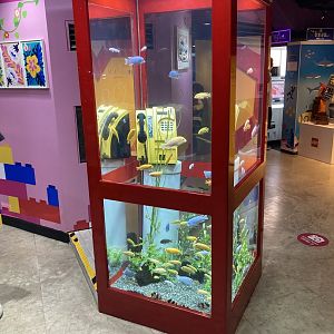 Fish in a (London?) telephone booth