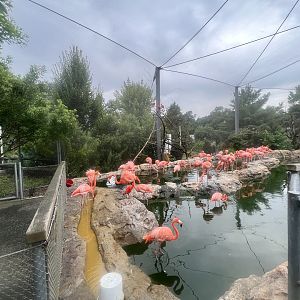 Caribbean Coast Exhibit
