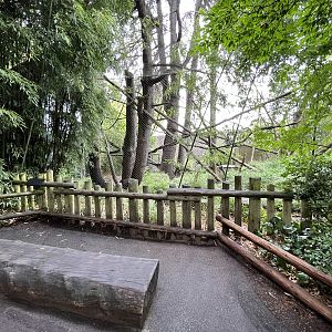 Colobus Monkey Exhibit
