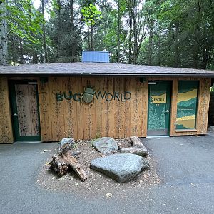Bug World - New 2023 Exterior