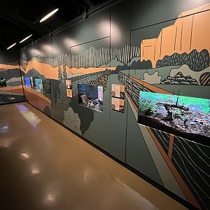 Bug World - New 2023 Graphics