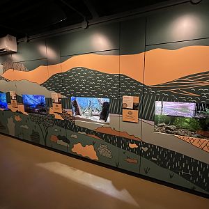 Bug World - New 2023 Graphics